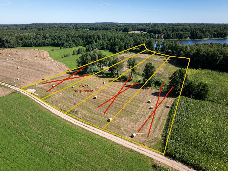 działka z linią brzegową jeziora Hołny - Widok 2