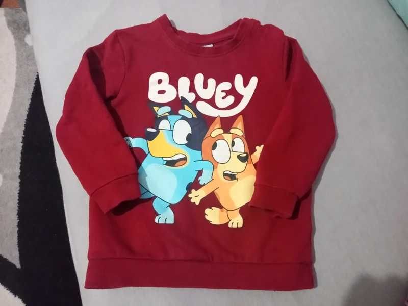 Bluza Bluey i Bingo 98