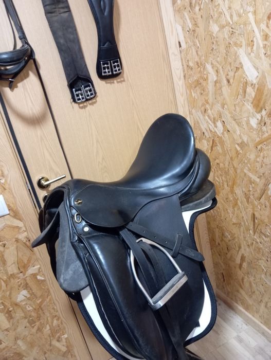 Sela/ Selim de ensino lexhis kll completo com cabeçada