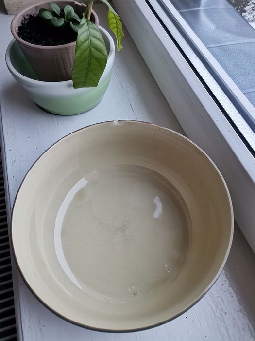 Ceramiczna misa - Tułowice