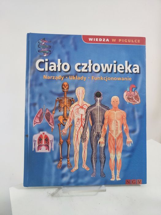 Ciało człowieka Narządy Układy Funkcjonowanie Wiedza w pigułce