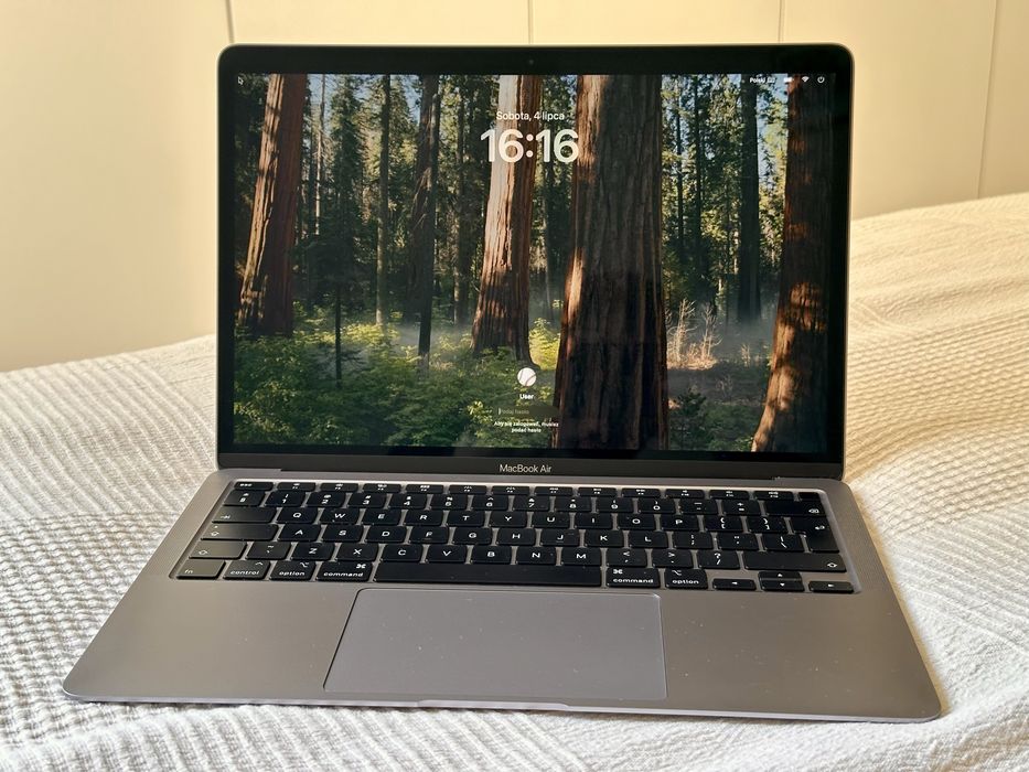 Apple MacBook Air 13” 2020 A2179 + Magic Mouse
