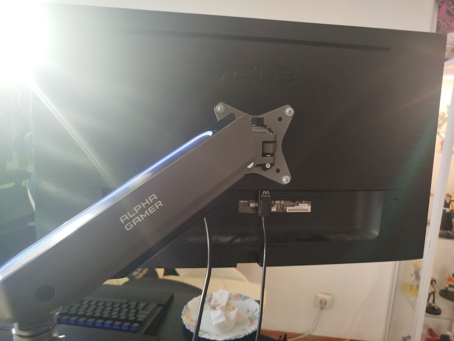 Monitor Curvo AOC e Monitor plano ASUS