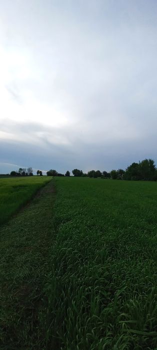 Будинок з ділянкою 60 соток