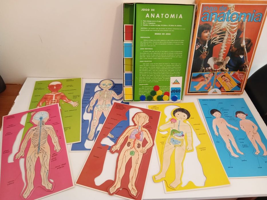 Jogo de Anatomia, antigo 1981,  Majora