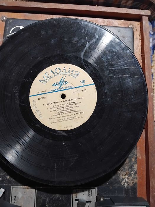 Акорд 201 стерео