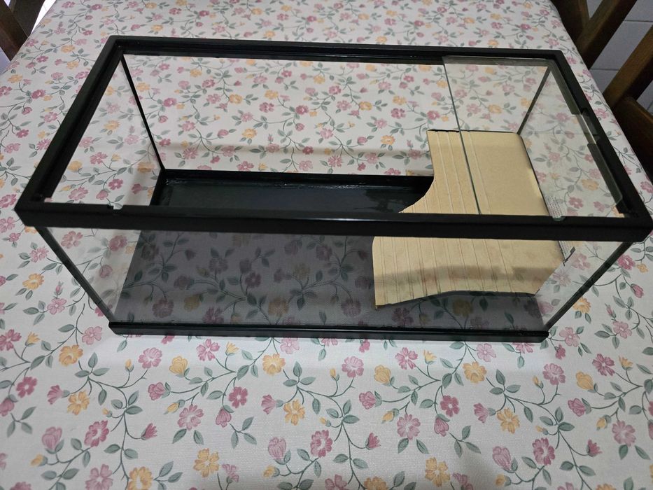 Aquário para tartaruga64284339959810120