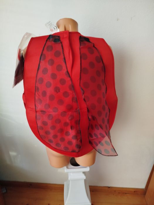 Przebranie strój biedronki .