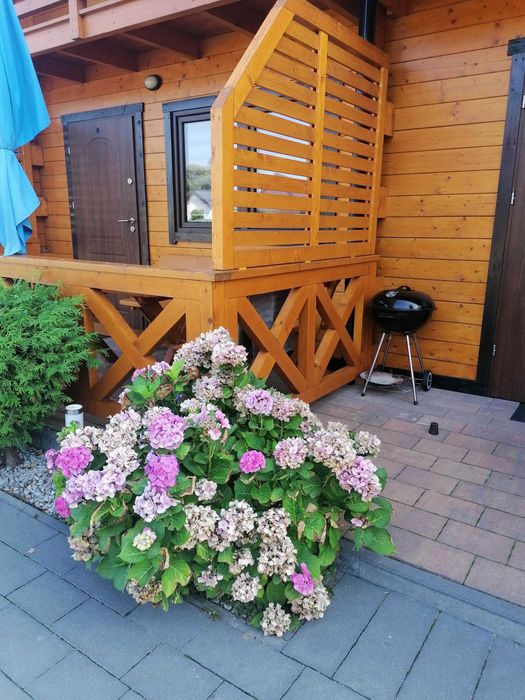 Domki nad morzem ,,Na Wesołej" Chłopy k. Sarbinowa i Mielna ( jacuzzi)