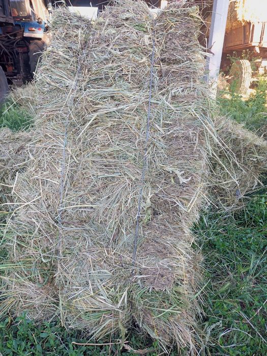 Продам сіно в тюках