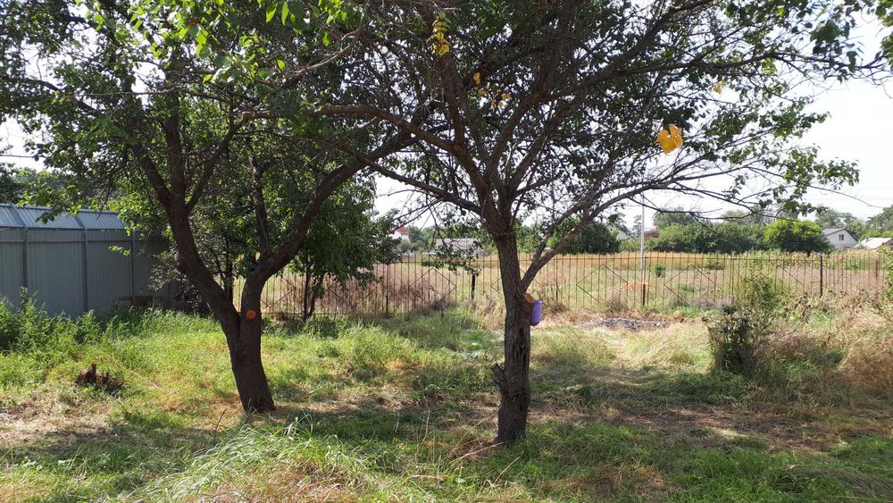 Земля 19 соток ділянка з будівлями Лелеківка Підгайці 21000$ власник