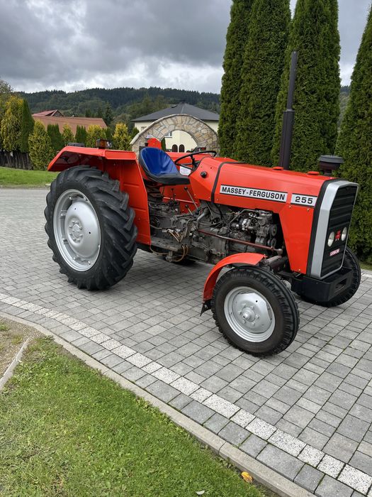 Massey Ferguson 255, MF 255