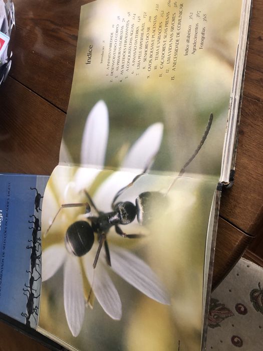 Coleção A Vida na Terra de David Attenborough