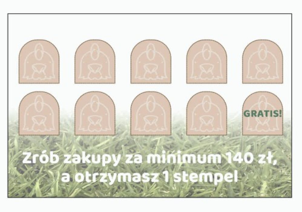 Pasze, karmy dla kur niosek - kukurydza walcowana