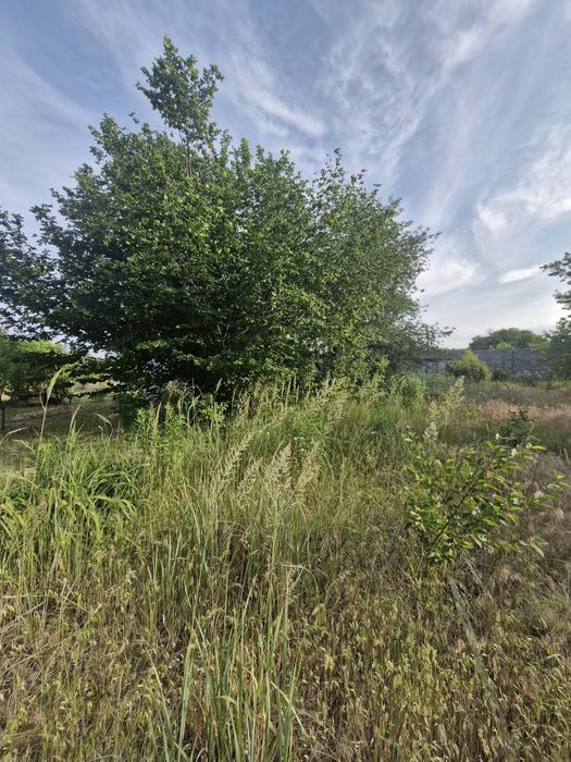 Продам  участок  под строительство дома