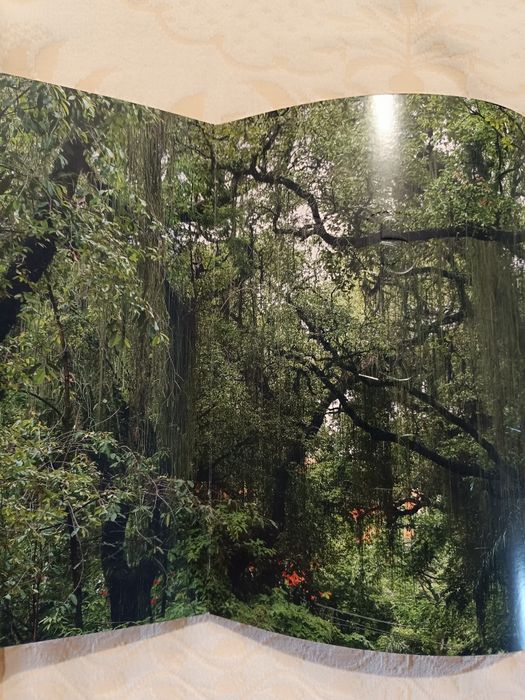 Manguinhos - Retratos e histórias do campus da Fundação Oswaldo Cruz