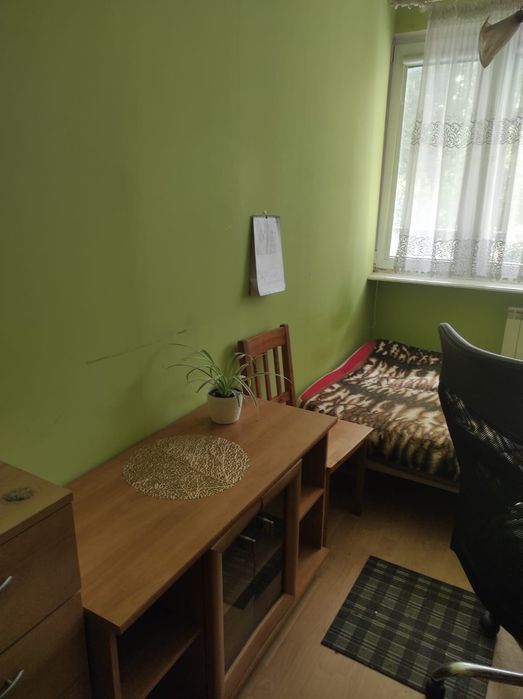 Zdjęcie 3