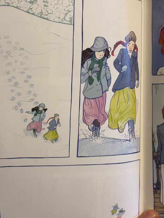 Novela Gráfica - Ana dos Cabelos Ruivos. Livro juvenil.