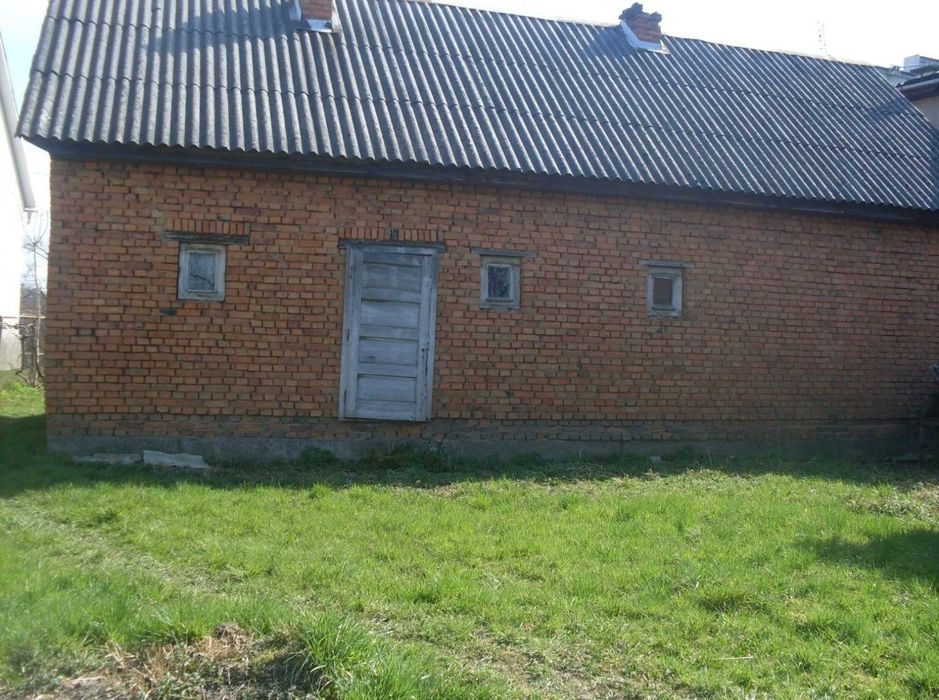 Продаж будинку з земельною ділянкою 26 соток в с.Бедевля