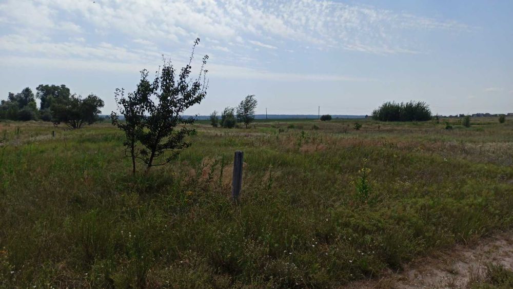 Продам свою земельну ділянку с. Синяк, Київська область, Бучанський рн