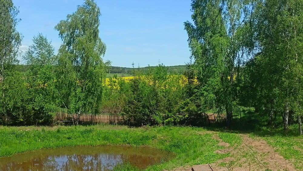 Duża działka blisko jezior | 35 km od Gdańska | 160 zł/m² | WZ + media + ogród, sad + zagajnik - Widok 3