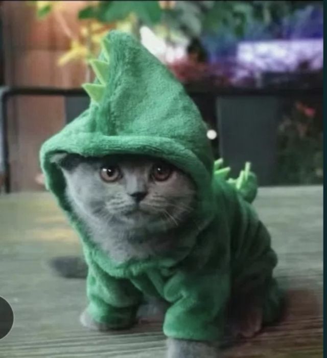 Костюм для тварин собаки кошения дракон динозавр зелёный новый рік