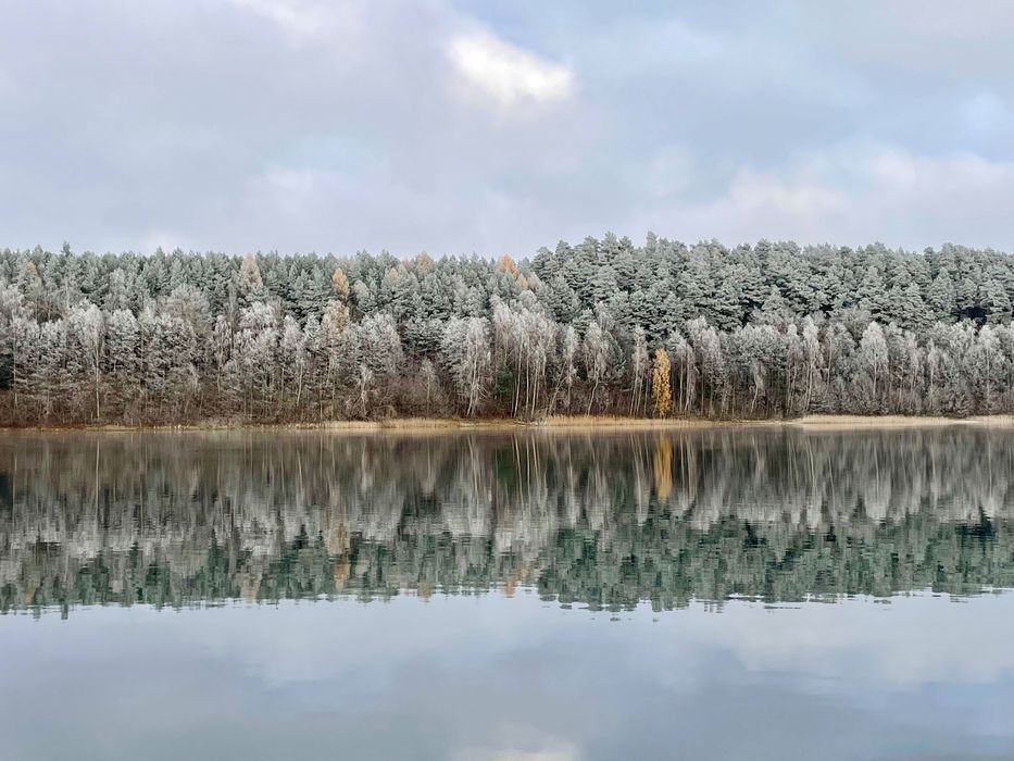 Romantyczny domek w lesie na wynajem / Prywatna balia/ Bory Tucholskie