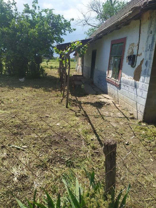 Земля (с Домом в подарок) Собственник, обмен на Бус