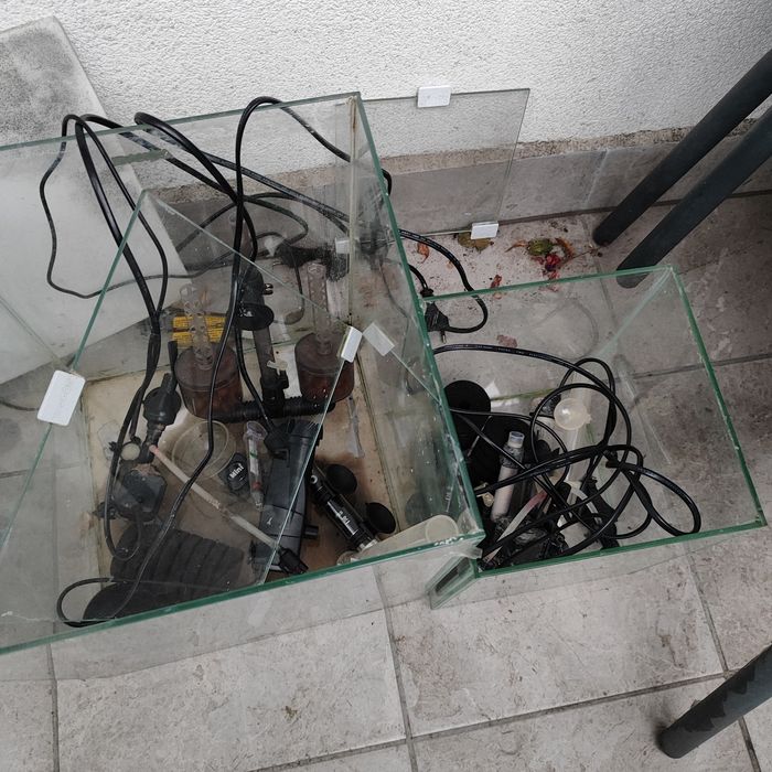 Akwarium,krewetkarium