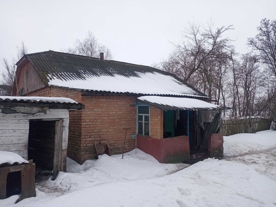 Продам дом в селі Терехове в Бердичівському районіі