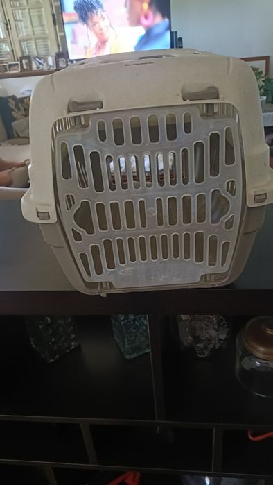 Transportadora de cães e gatos