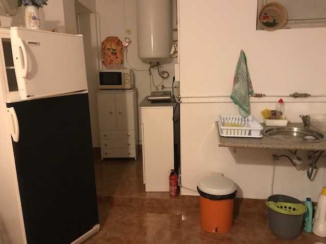 Casa rural mobilada T0 em jardim 1000m2