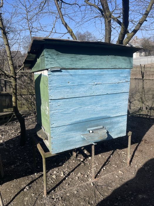 Вулики Рамки Бджоли Наставки