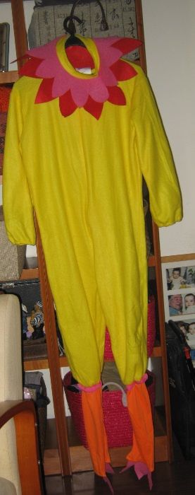 Fato Carnaval Infantil - Galinha