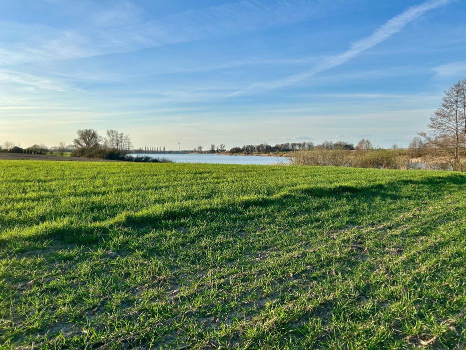 Sprzedam/zamienię działkę rolną/rekreacyjną nad zalewem roszkowskim
