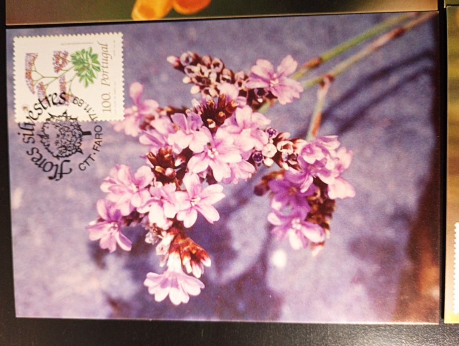 Serie completa de 4 Postais. Máximos. Novos	1989 - Flores Silvestres