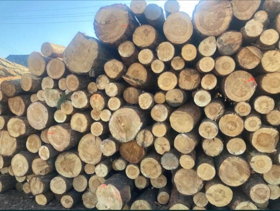 Drewno opałowe, drewno kominkowe