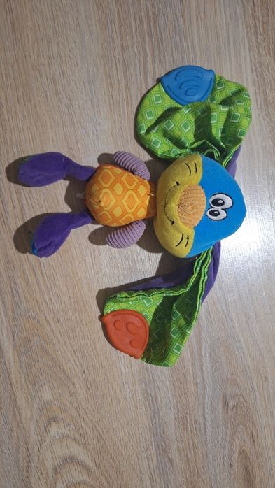 Nubi, заєць гризунець