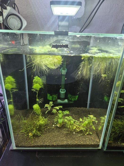 Akwarium/ krewetkarium 30l Aquael