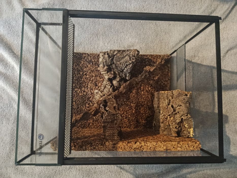 Terrarium dla gekona