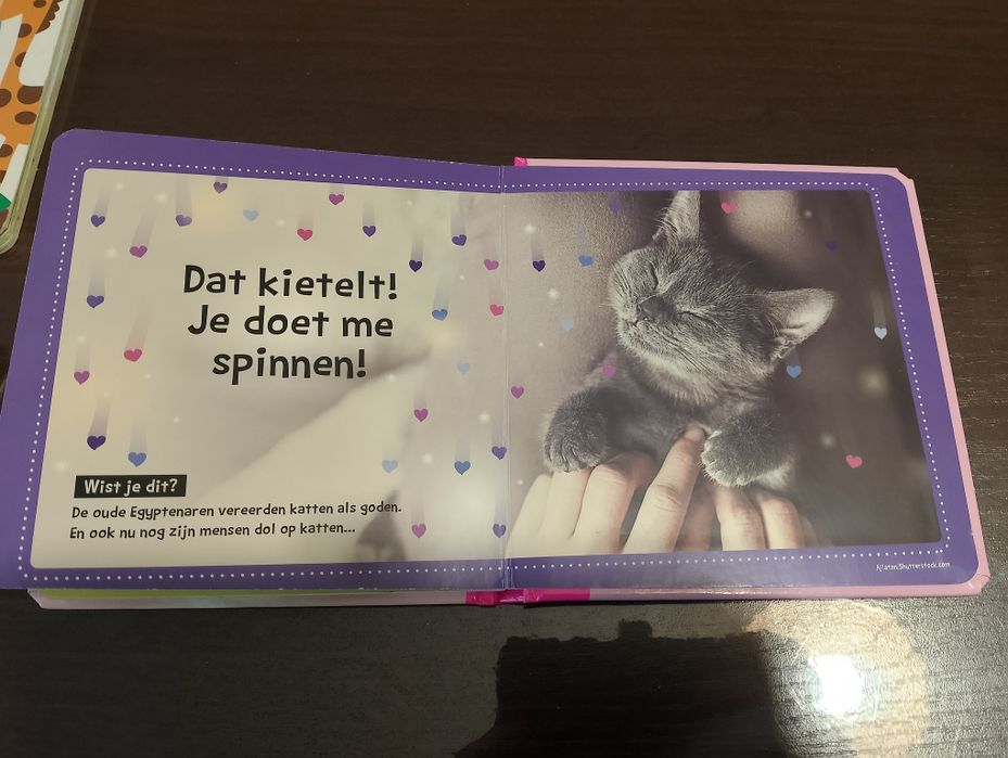 Książka dla dzieci Koty