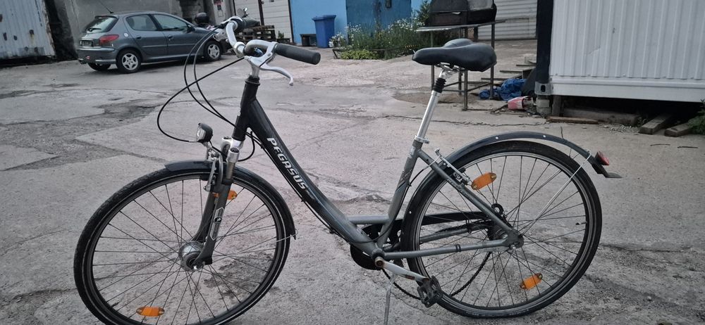 Rower Pegasus damka.