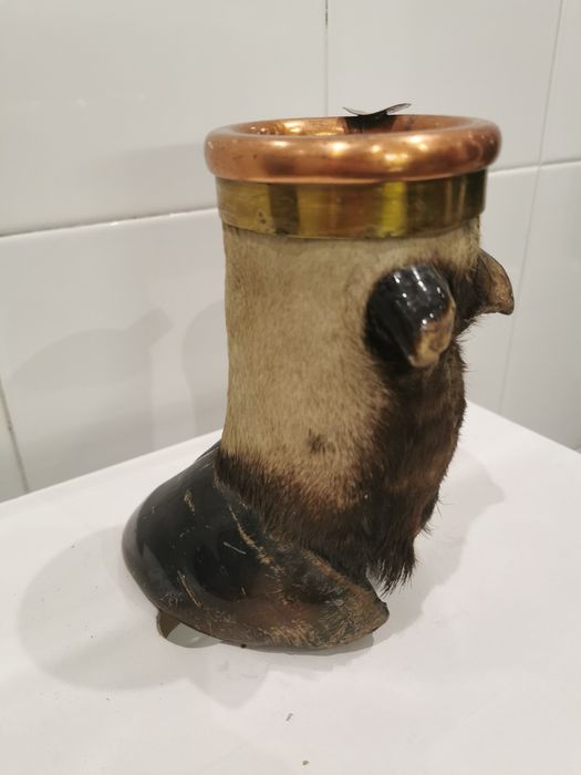 Cinzeiro pata de búfalo