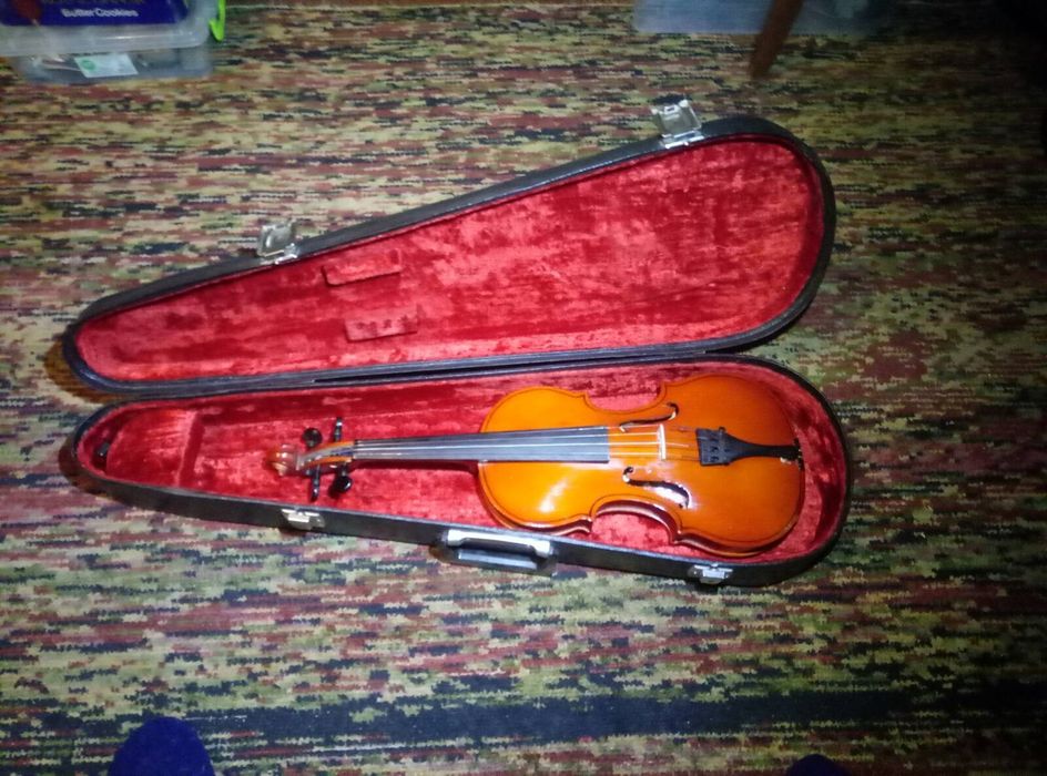 Скрипка 3/4 доросла