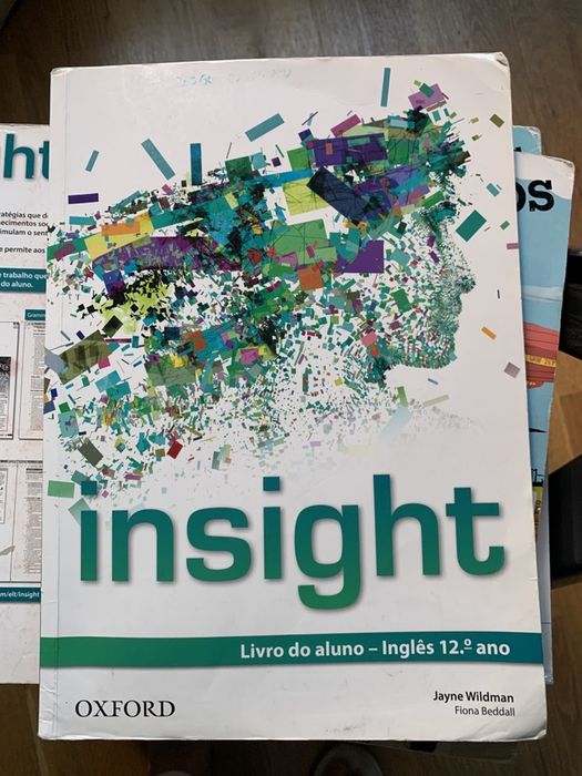 Insight 12 ano livro