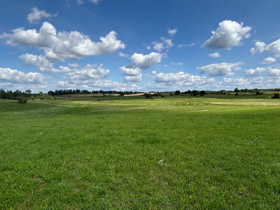 Działka rekreacyjna