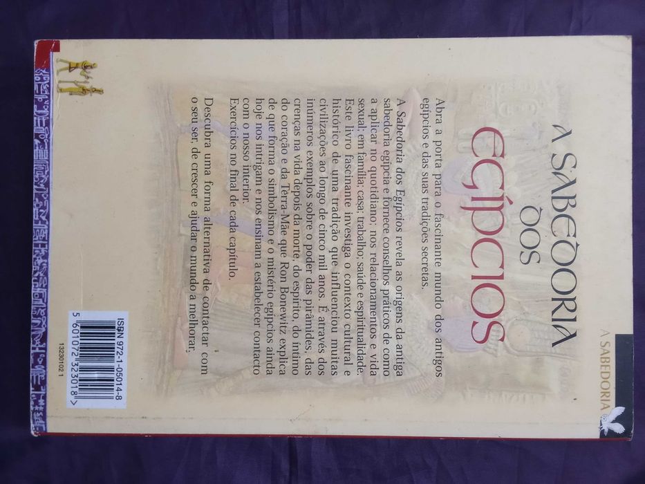 A Sabedoria dos Egípcios - Ron Bonewitz