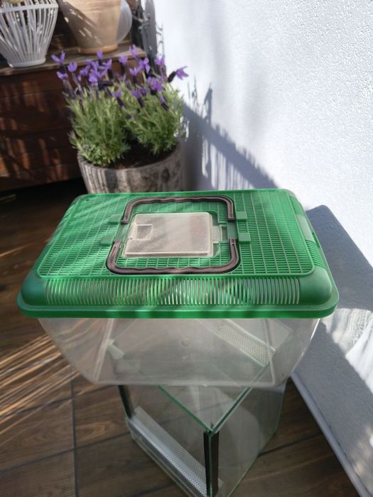 Terrarium transporter