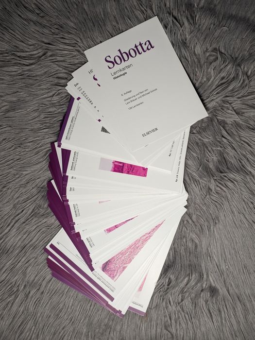 Sobotta Flashcards: Histologia, wydanie 6 fiszki