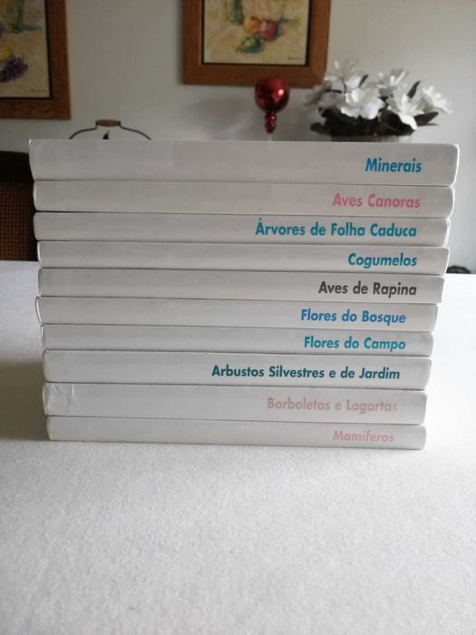 Coleção Mundo Verde